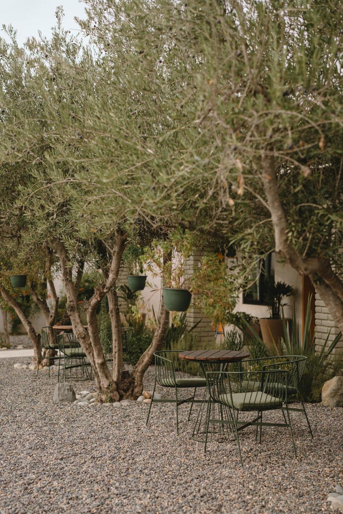 Mya Hotel Valle de Guadalupe Exterior foto
